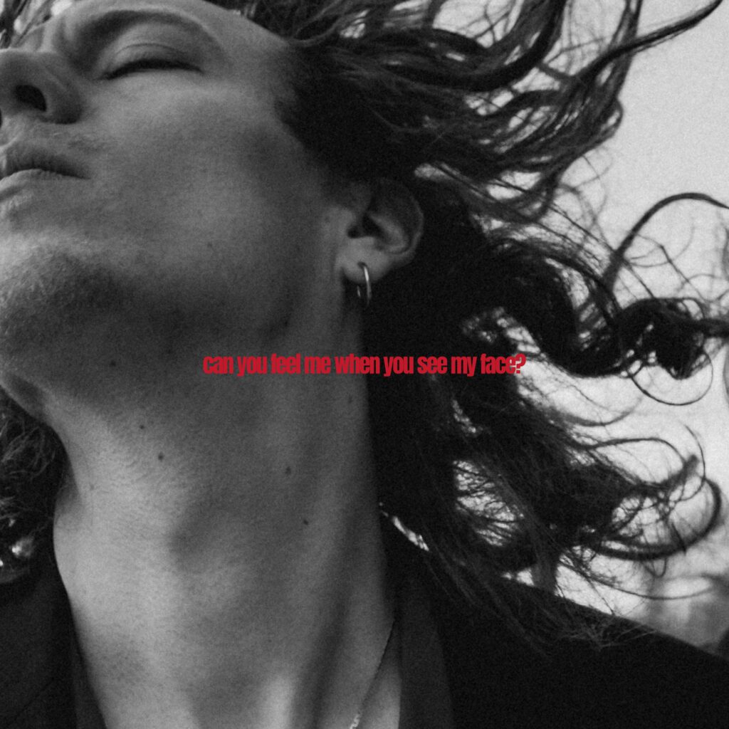 Final Cover CYFMWYSMF